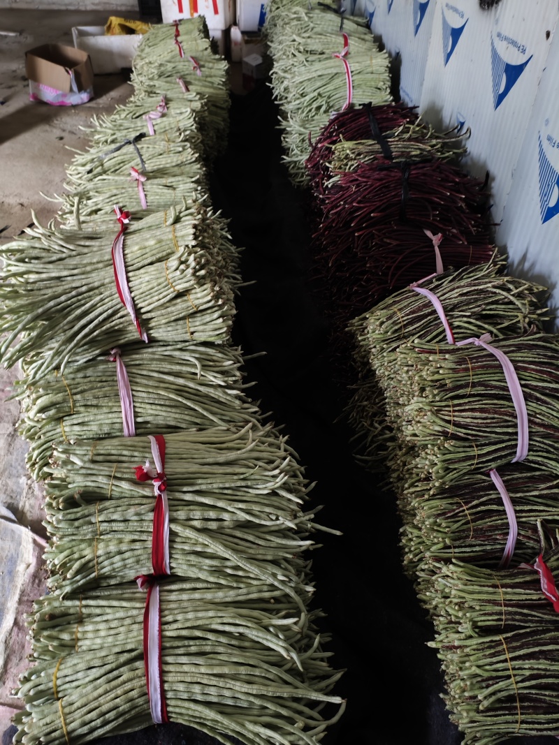 广西横县新鲜白豆角大量有货。