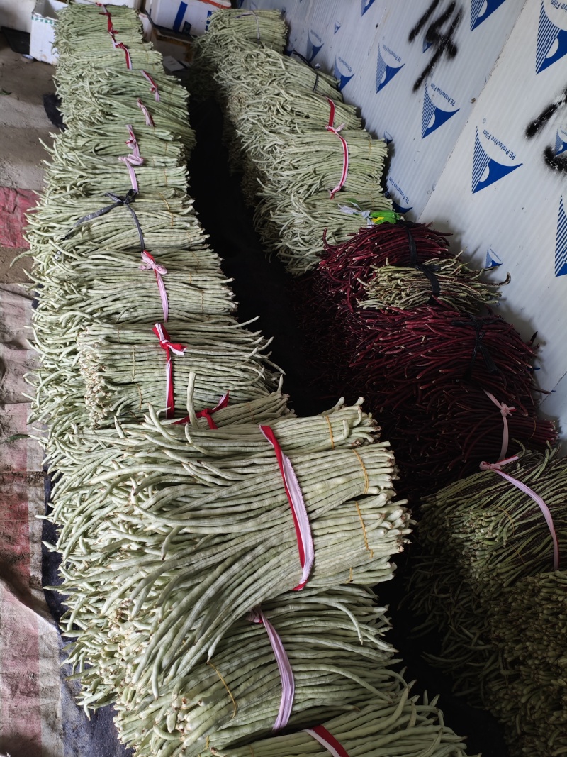 广西横县新鲜白豆角大量有货。