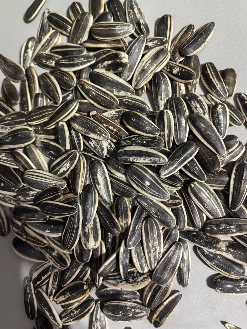 新鲜生，熟瓜子香脆可口健康零食随时享用家庭必备