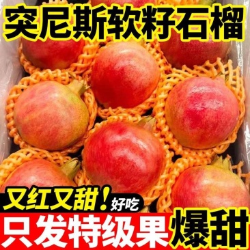 河南省淅川县丹江水灌溉石榴***