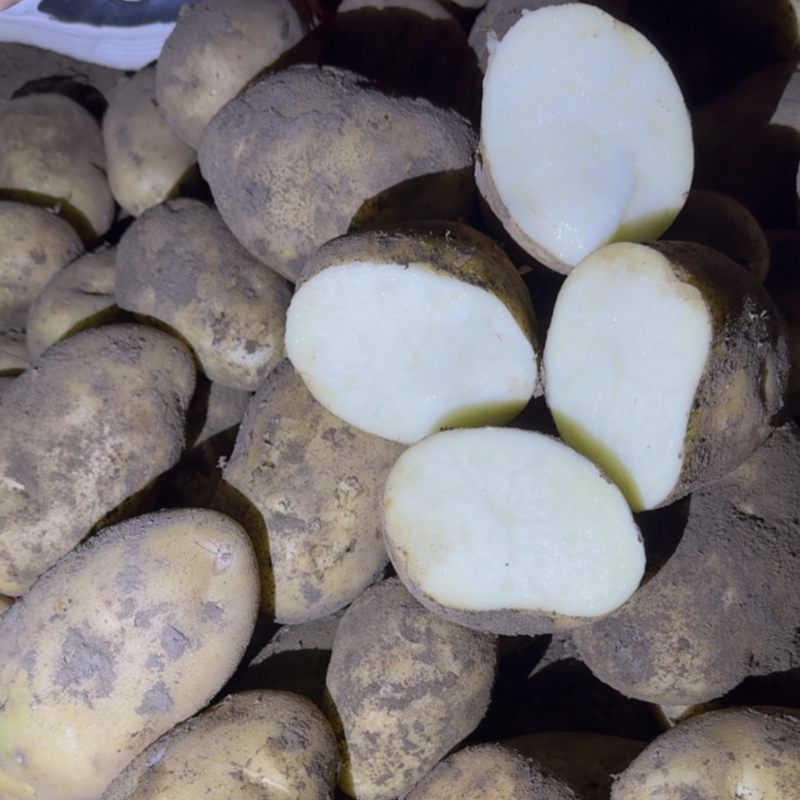白心土豆品质**，出库