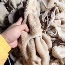 熟羊净肚