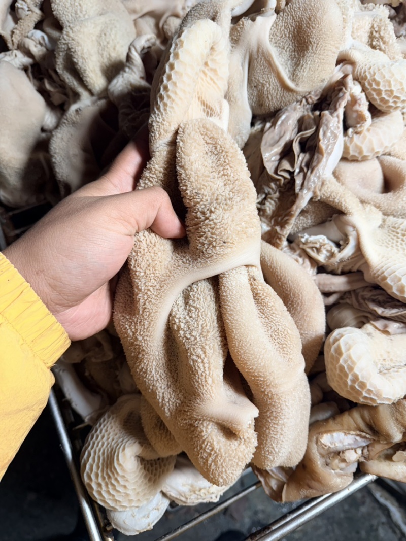 熟羊净肚