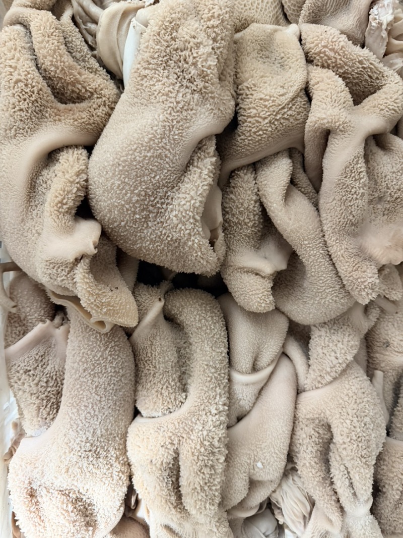 熟羊净肚