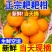 正宗粑粑柑春见电商代发社区团购各大平台代发