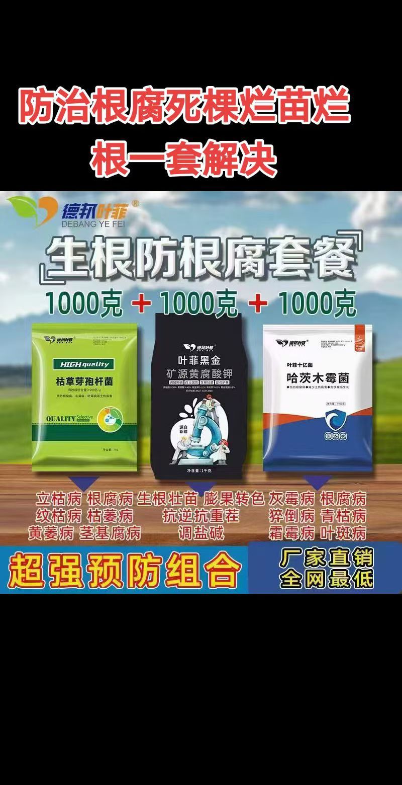 防治根腐三件套