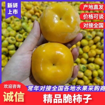 柿子广西桂林高山脆柿产地直发无中间商欢迎咨询
