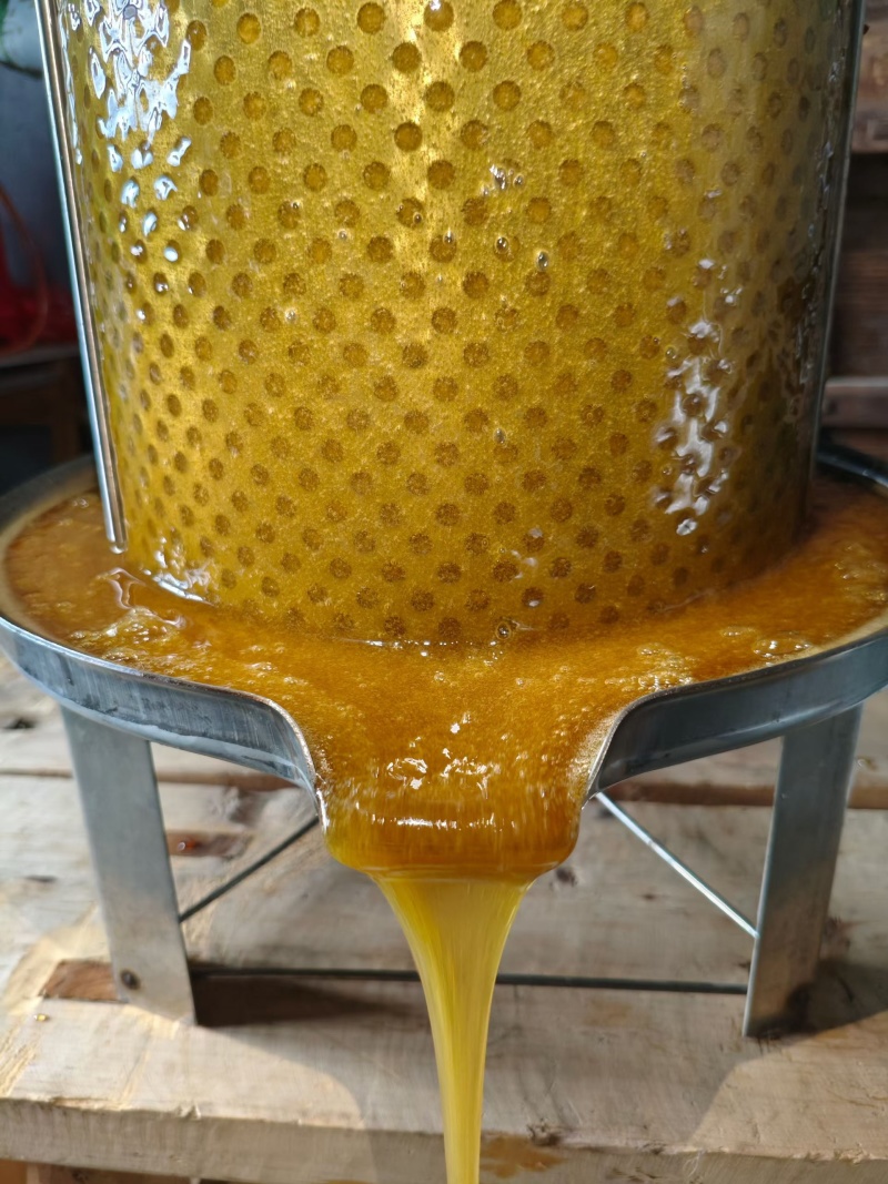 土蜂蜜，一年一产，***土蜂蜜。