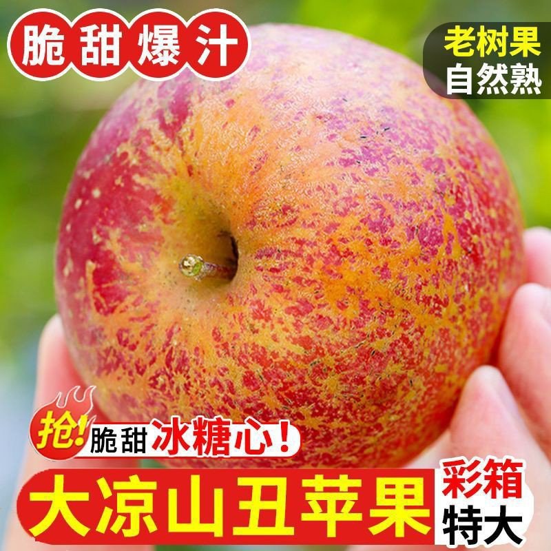 丑苹果接一件代发