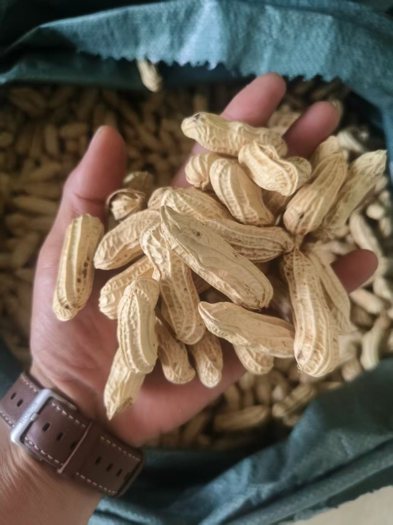 黑花生产地直发人工挑选精品货颗粒饱满品质保障
