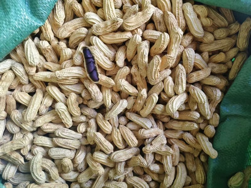 黑花生产地直发人工挑选精品货颗粒饱满品质保障