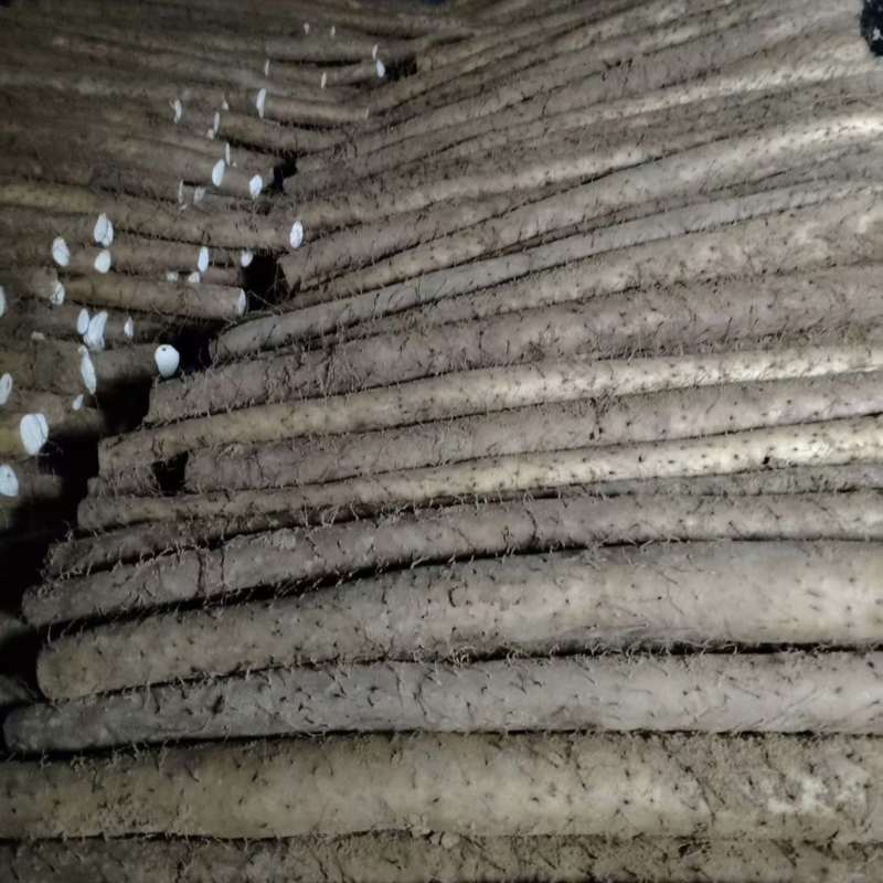山西精品大白玉