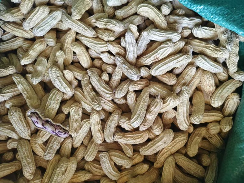 七彩花生云南七彩花生产地直发品质保障对接全国等