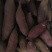 烟薯25红瑶