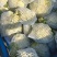 湖北天门菜花精品松花菜产地一手货源量大从优联系