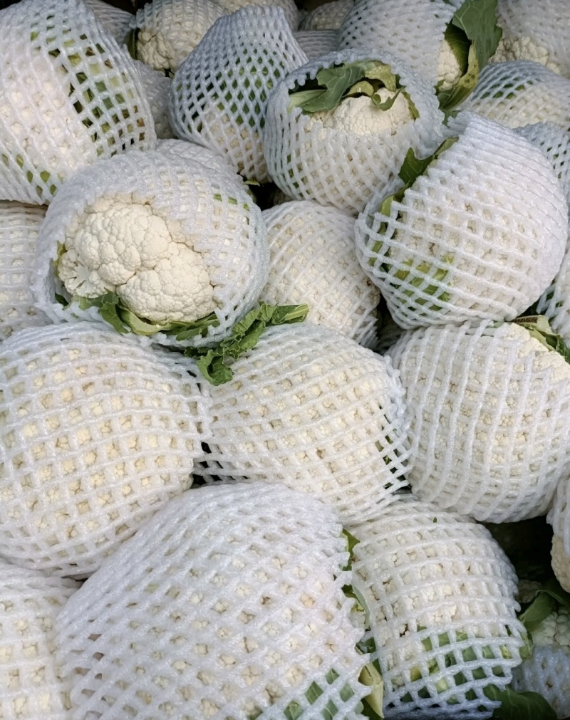 湖北天门菜花精品松花菜产地一手货源量大从优联系