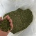 花椒精品青花椒新鲜采摘烘烤而成口感麻香欢迎咨询