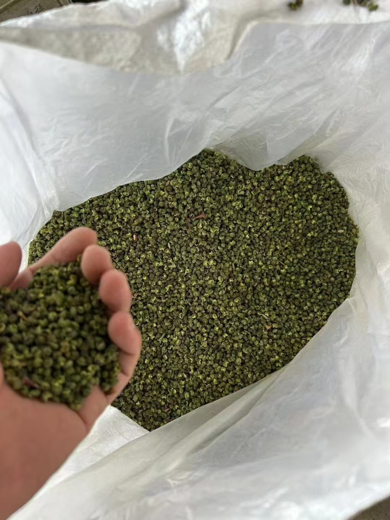 花椒精品青花椒新鲜采摘烘烤而成口感麻香欢迎咨询