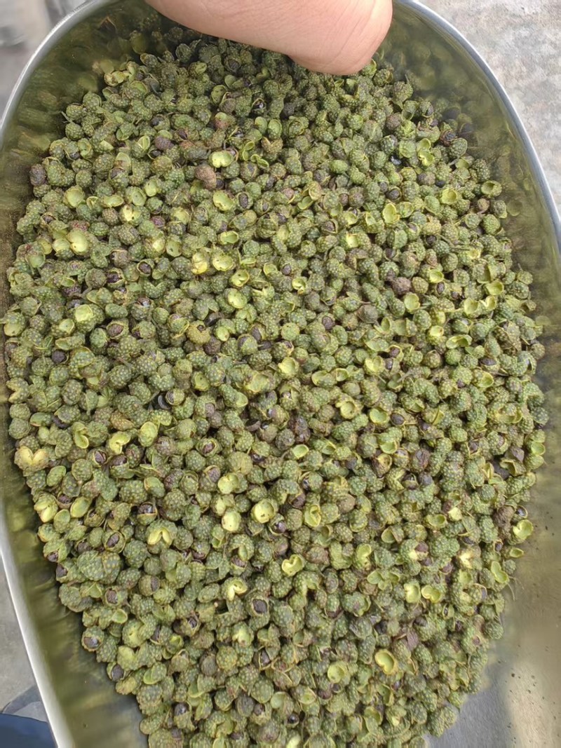 花椒精品青花椒新鲜采摘烘烤而成口感麻香欢迎咨询