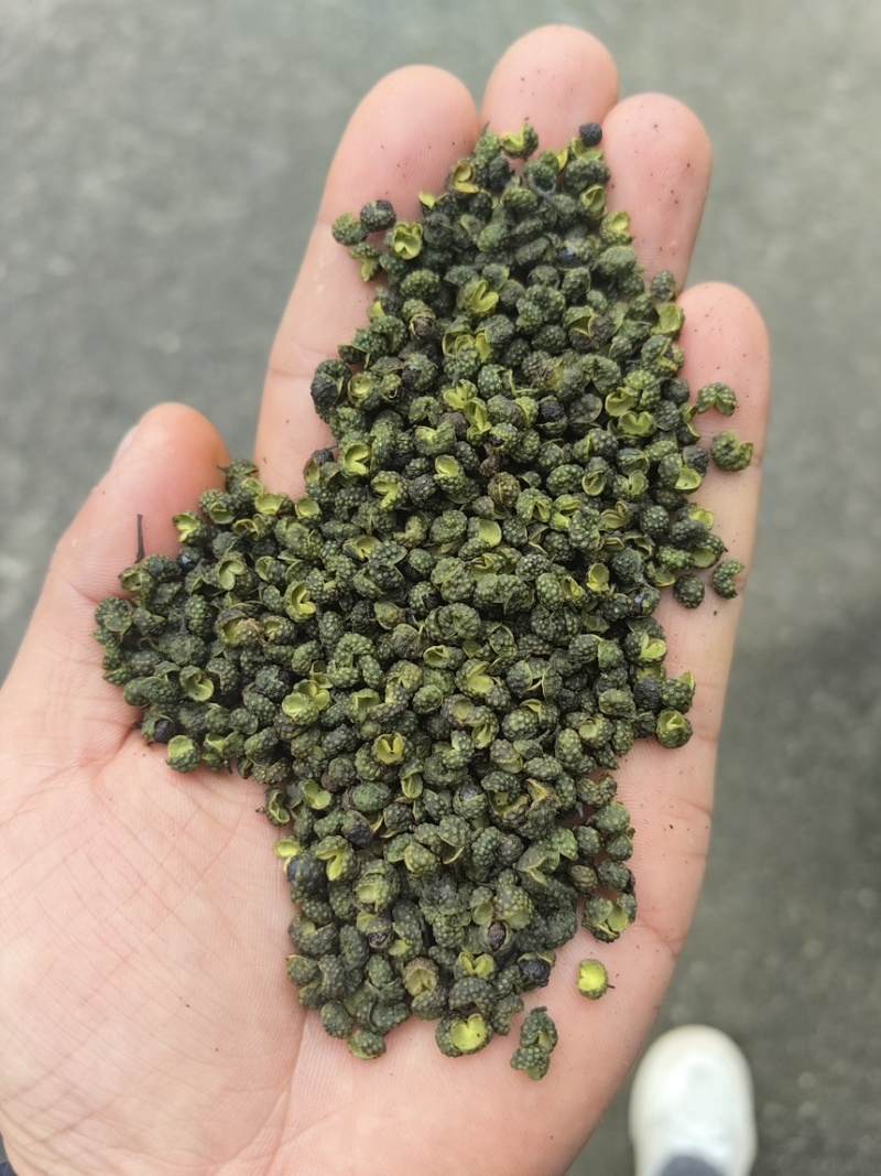 花椒精品青花椒新鲜采摘烘烤而成口感麻香欢迎咨询