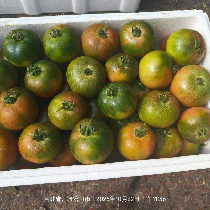 草莓西红柿