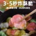 虾片五彩虾片网红虾片油炸彩色龙虾片儿童小零食年货商用怀旧