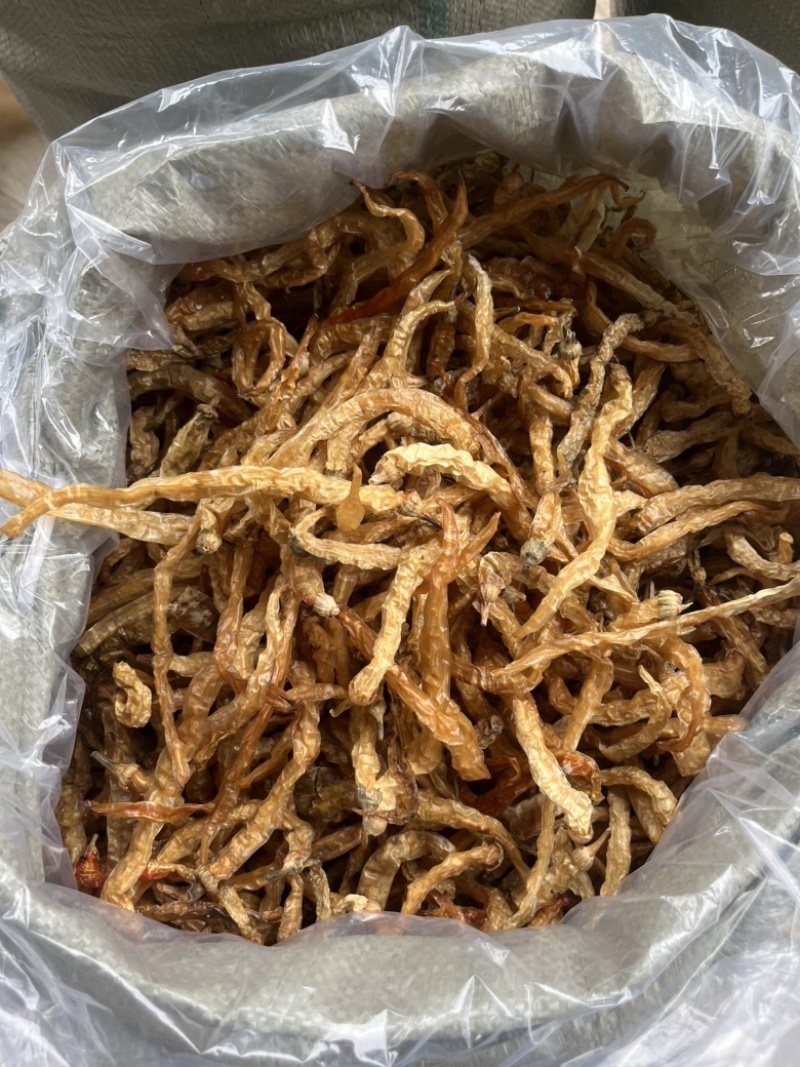 今年的新货水煮无盐白辣椒无琉