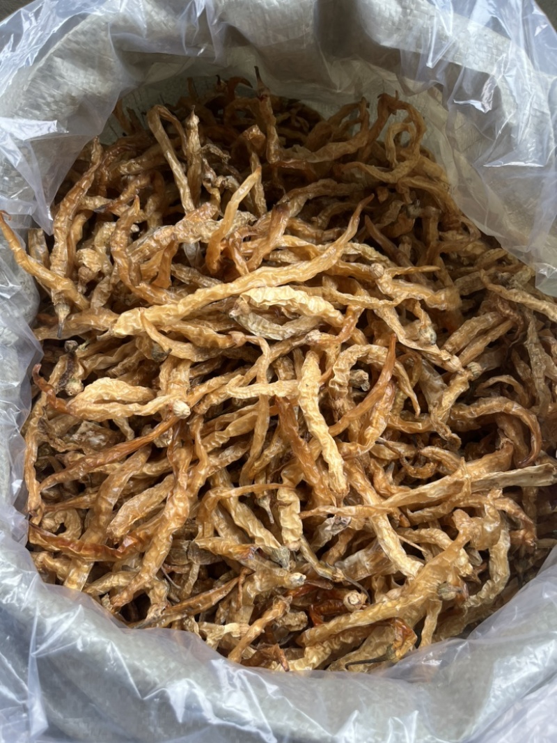 今年的新货水煮无盐白辣椒无琉