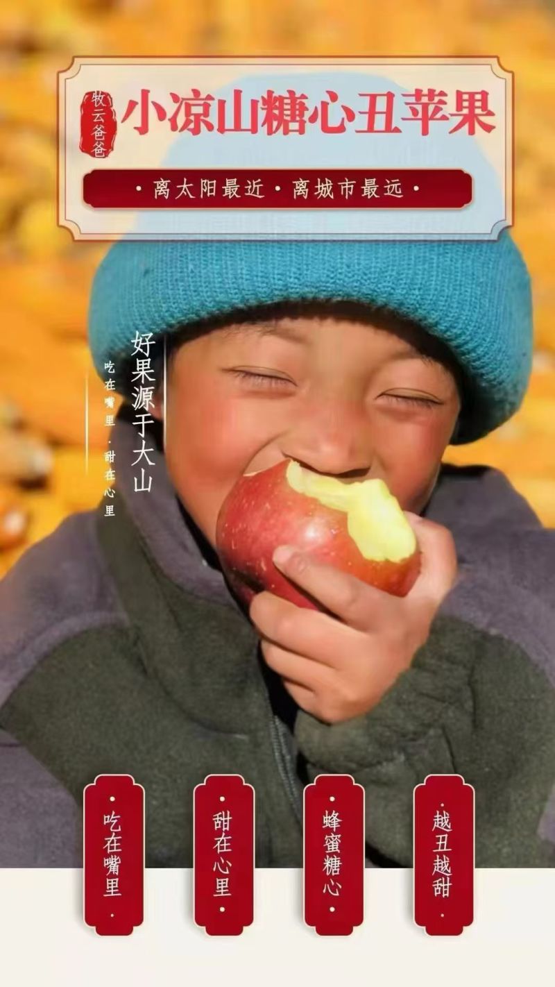 云南丽江糖心苹果