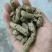 羊草颗粒