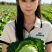 兰州红古冬储蔬菜大白菜娃娃菜大量有货，产地直供