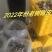 新会柑果皮