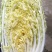 优质黄心大白菜