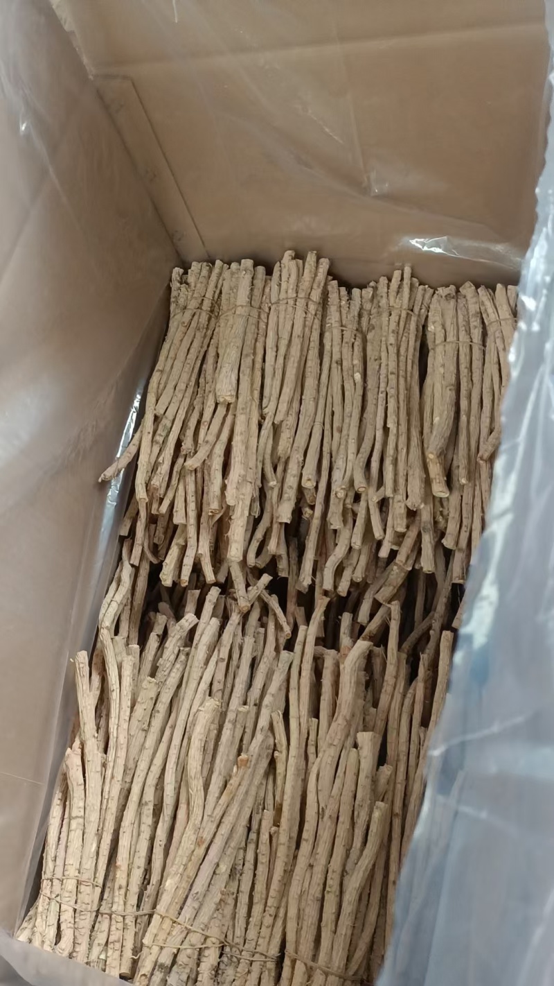 防风