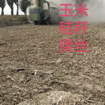 河南玉米秸秆揉丝大量有货，一手货源视频看货欢迎致电