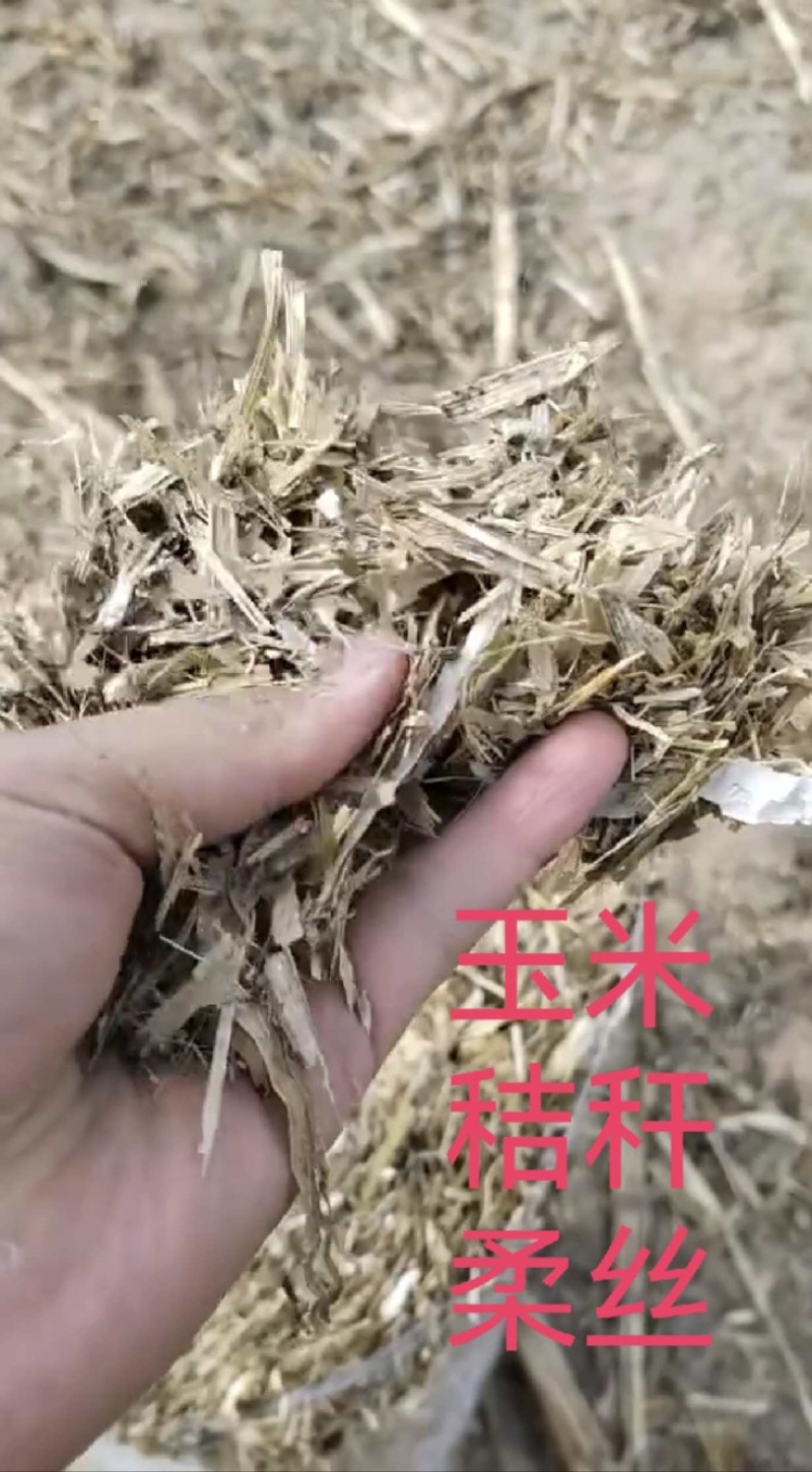 河南玉米秸秆揉丝大量有货，一手货源视频看货欢迎致电