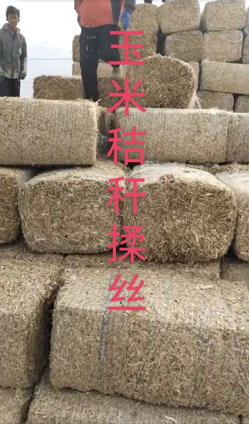 河南玉米秸秆揉丝大量有货，一手货源视频看货欢迎致电