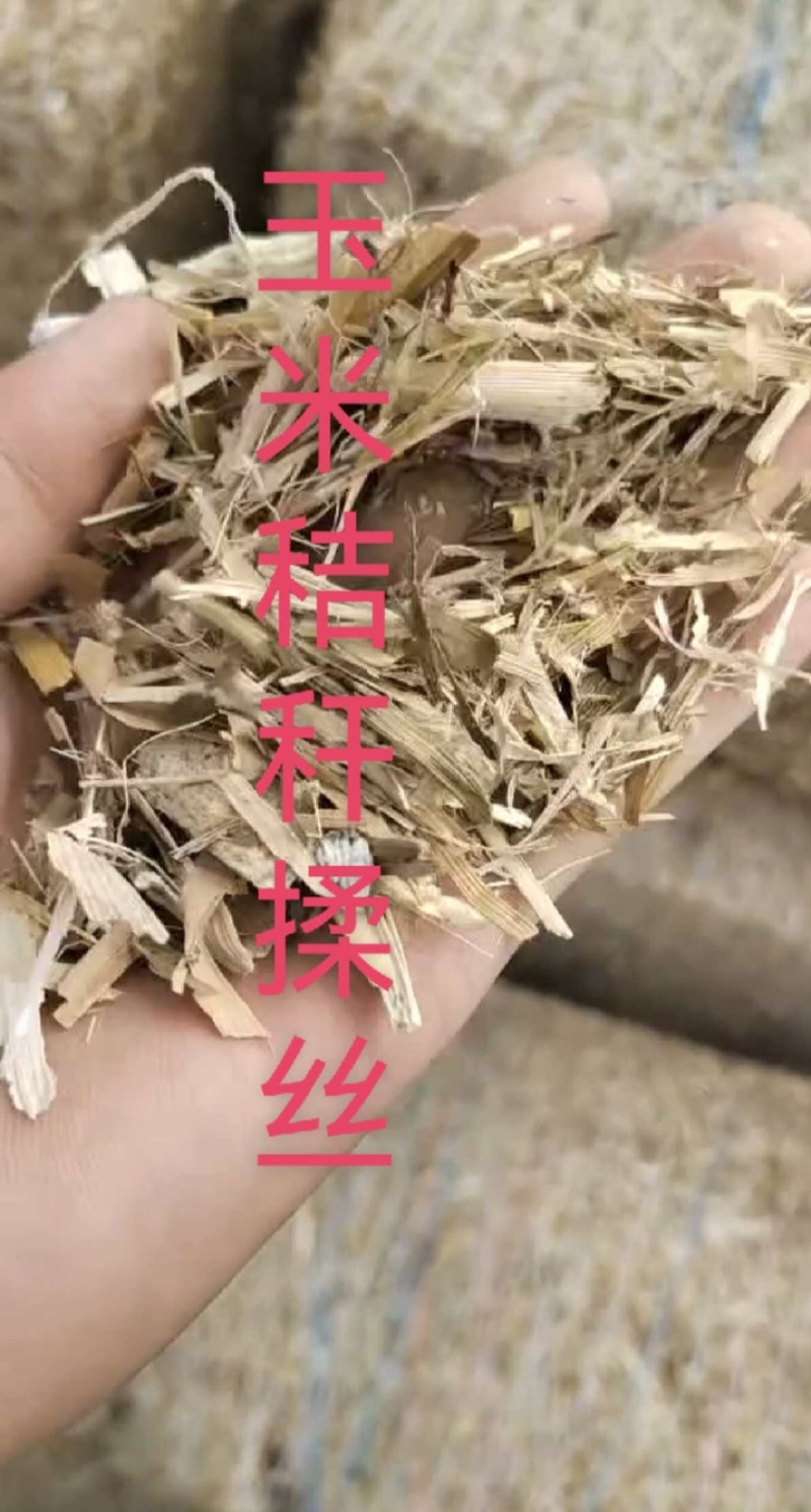 河南玉米秸秆揉丝大量有货，一手货源视频看货欢迎致电