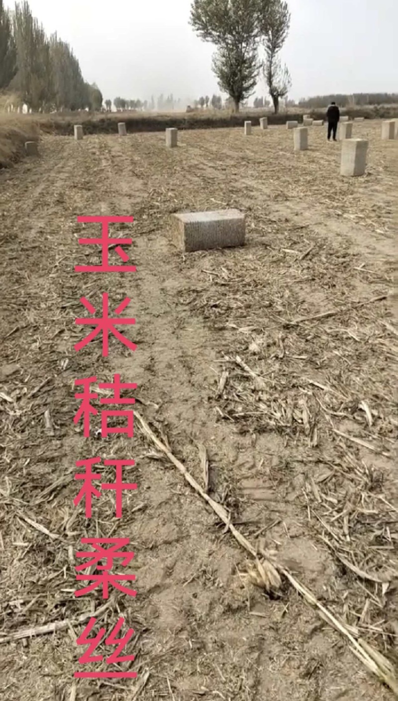 河南玉米秸秆揉丝大量有货，一手货源视频看货欢迎致电