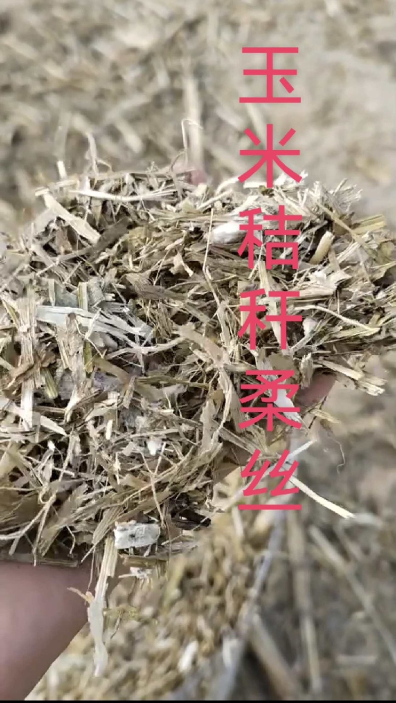 河南玉米秸秆揉丝大量有货，一手货源视频看货欢迎致电