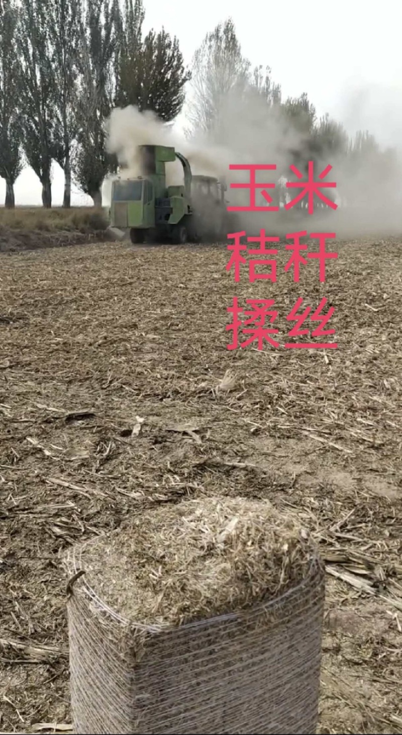 河南玉米秸秆揉丝大量有货，一手货源视频看货欢迎致电