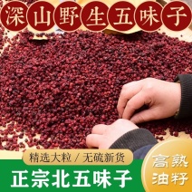 五味子东北长白山野生北五味子新货油籽泡茶泡酒北五味子