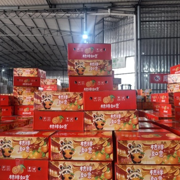 爱媛果冻橙产地直发/一件代发/代采代购一站式服务