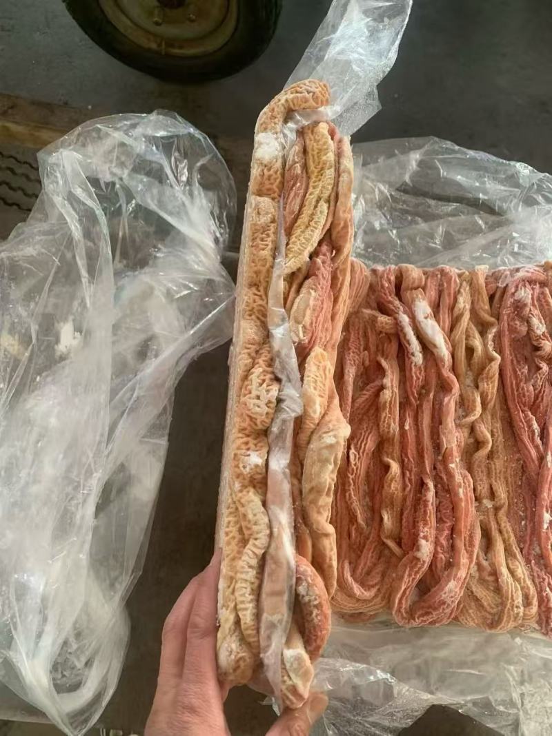 熟小肠