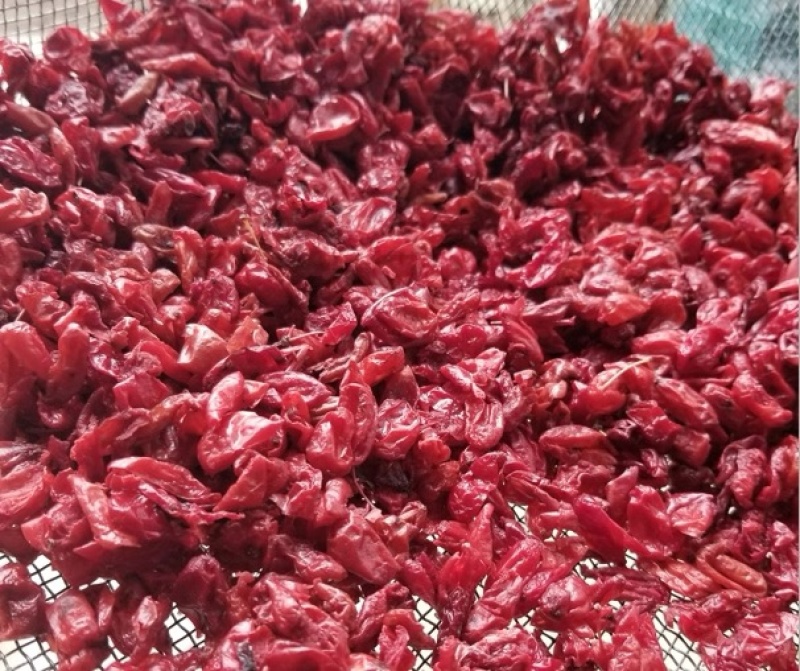 山茱萸，山芋肉中药材批发精选无核枣皮规格齐全