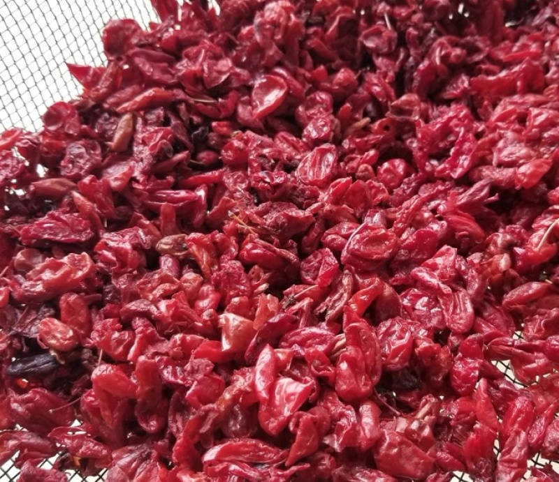 山茱萸，山芋肉中药材批发精选无核枣皮规格齐全