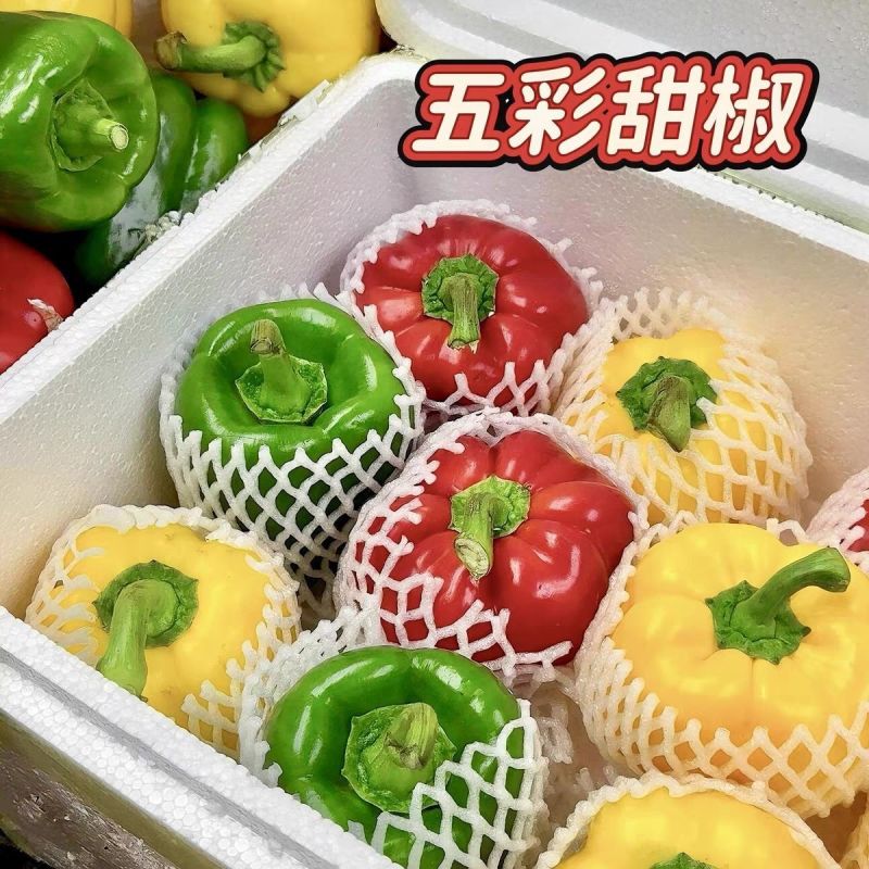 五彩椒产地一手货源，量大优惠，可视频看货，对接全国市场电