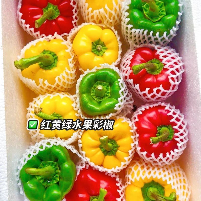 五彩椒产地一手货源，量大优惠，可视频看货，对接全国市场电