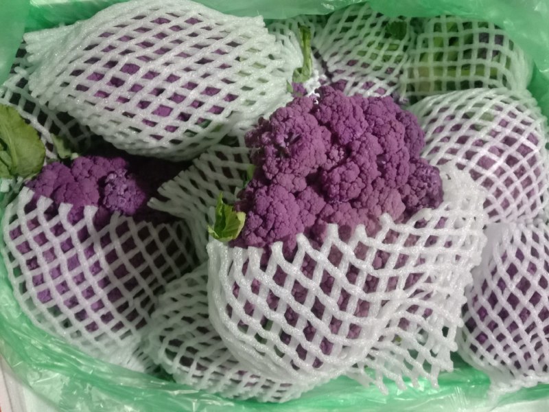 紫色花椰菜