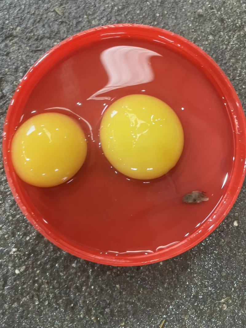 鹅蛋，雁鹅蛋桶装蛋，商品蛋，各种规格，一件代发，诚信经营